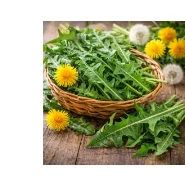 Cardio Slim Tea Dandelion Leaves